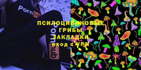 а пвп мука Алзамай